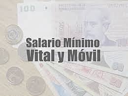 Ley del salario Mínimo, Vital y Móvil