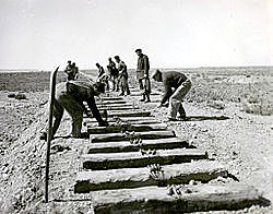 Falta de mano de obra especializada