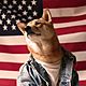 4eabf0acd0e696a79fdde0899a9ff70f  denim jackets i love dogs
