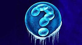 Timeline: BIOETICA-José Antonio/ Luis Angel