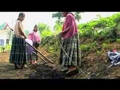 Queda extinguida en El Salvador la institución de los ejidos