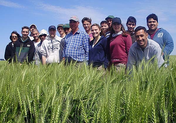 Primera Licenciatura