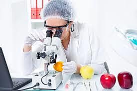 Ingeniería en Alimentos