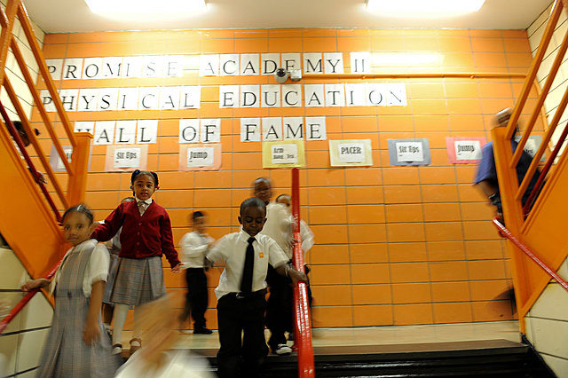 Education Choice Experiment