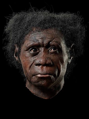 Inicio de la comunicación social