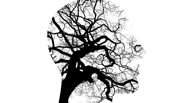 Corrientes Somaticistas