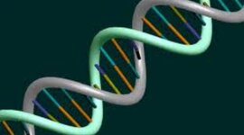 Timeline: DNA through history