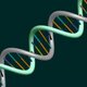 Dna structure