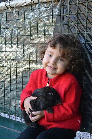 Primer visita al zoológico