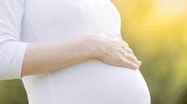 Timeline: Le fasi della gravidanza