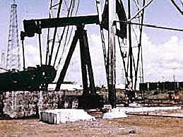 EVOLUCIONA LA OBTENCIÓN DE LA MATERIA PRIMA