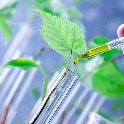 Timeline: Biotecnología