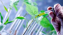 Timeline: Biotecnología