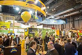 CONVOCATORIA DE PROFESIONALES LOGÍSTICOS