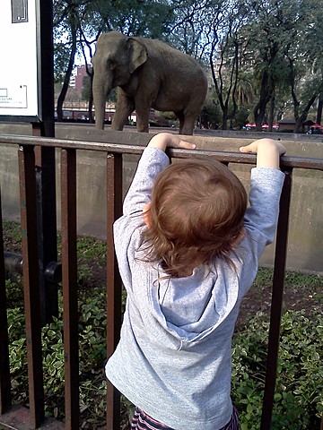 La primera vez que fui al zoo