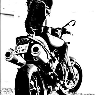 Timeline: Becoming Wildflower Timeline