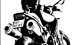 Timeline: Becoming Wildflower Timeline