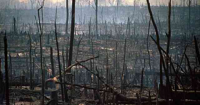 El Amazonas continúa desapareciendo
