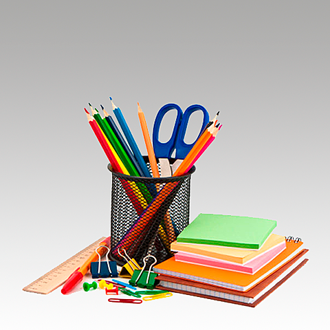 inicio de vida académica