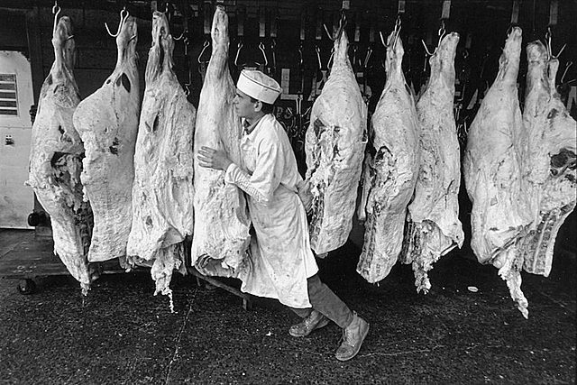 FDA / Meat Inspection Act Passed