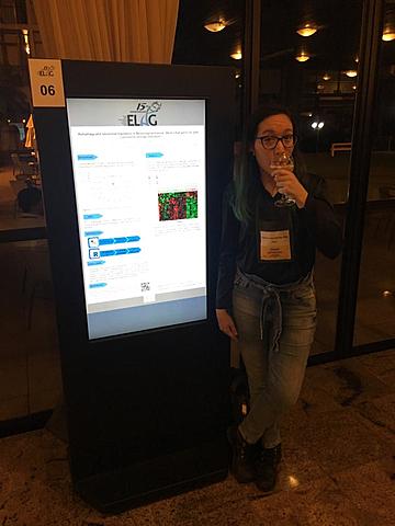 Onde eu estava antes do Yan falar comigo