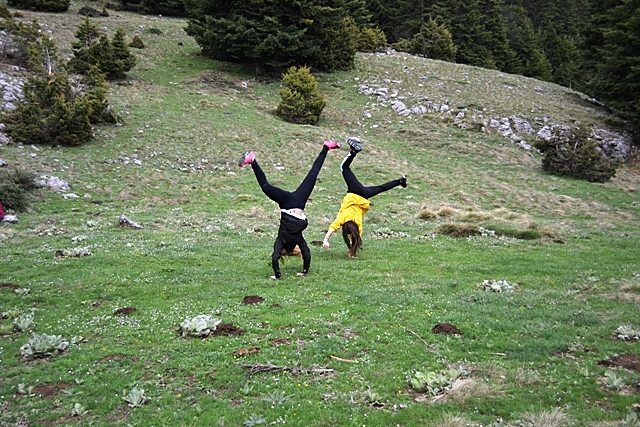 "Ζωάκια" του δάσους εν δράσει