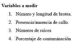 Variables a medir