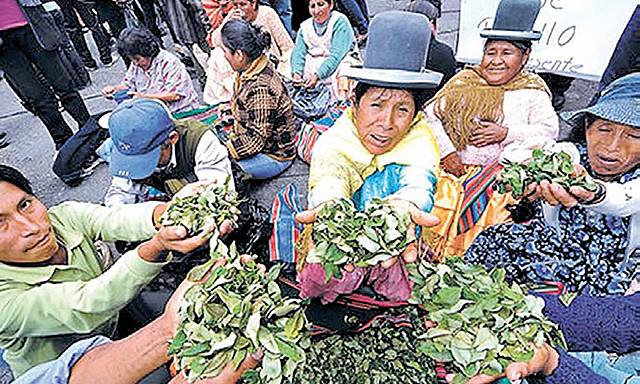 Ciudadanos vs Cocaleros