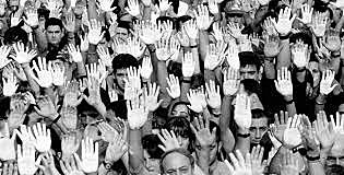 Organización y desarrollo