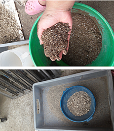 Turba B2 al 50% +  Pomina al 50%