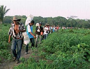 Un concejal y tres dirigentes del partido Liberal son asesinados por las FARC en la vereda Las Trochas-Santander