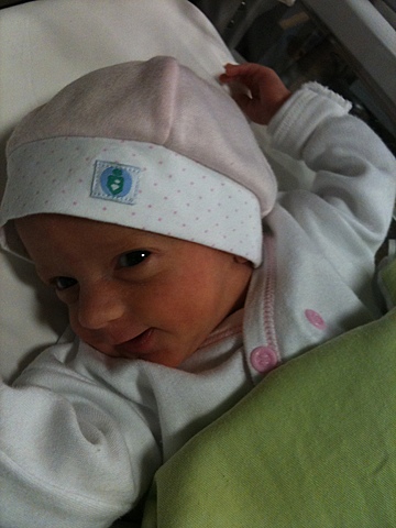 hasta que llegó el día