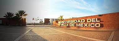 LA PROFESIONALIZACIÓN