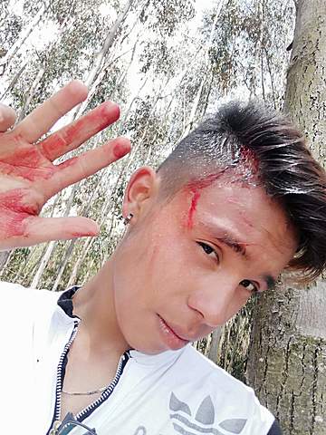 me quebré la cabeza