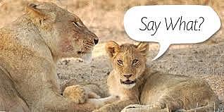 In 2060, animals will talk