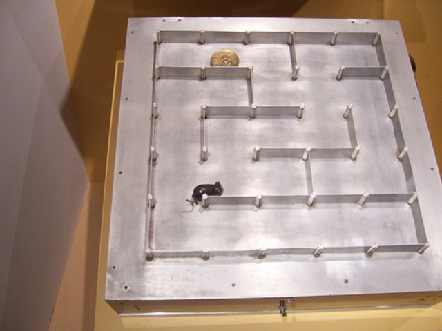 "Charlie and Algernon"