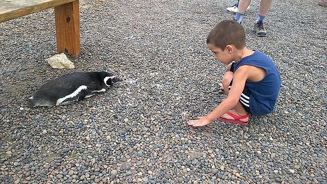 VACACIONES EN PUNTA TOMBO