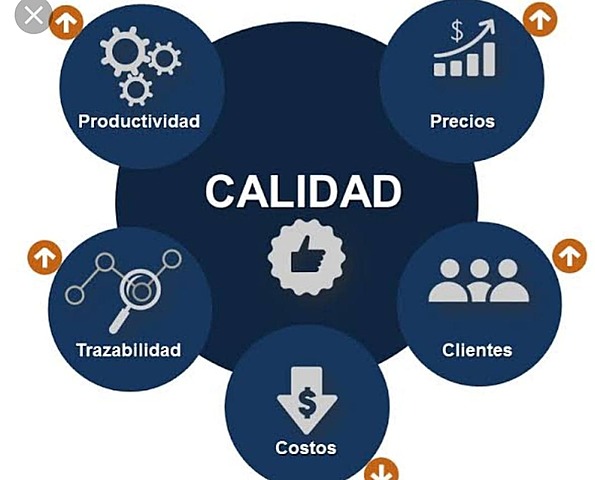 Determinantes de calidad