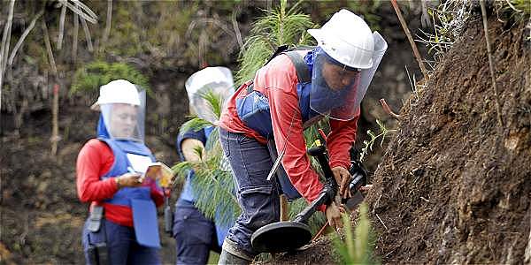 Desmantelamiento del Orejón.