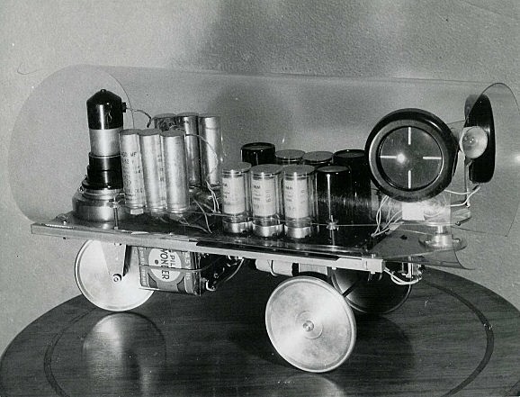 tortue cybernétique