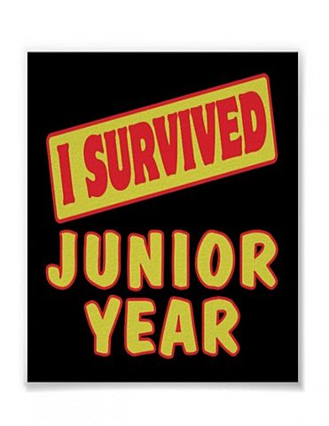 Junior Year