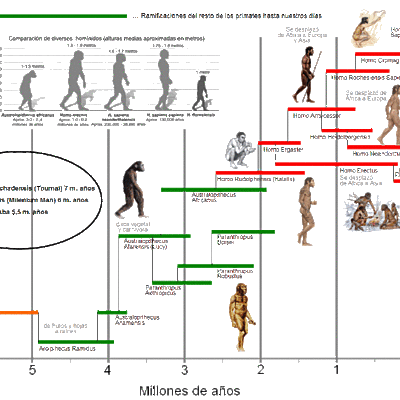 Timeline: EJE CRONOLÓGICO DE LOS HOMÍNIDOS