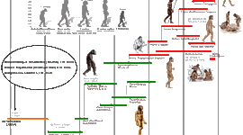 Timeline: EJE CRONOLÓGICO DE LOS HOMÍNIDOS