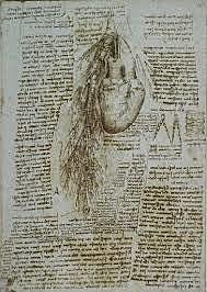 Leonardo étudie la mécanique, l'anatomie et la géométrie (1513-1516)