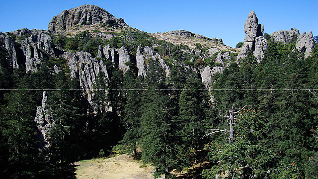Monte Vedado del Mineral del Chico