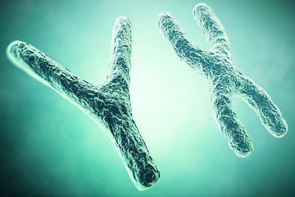 Herencia ligada al sexo