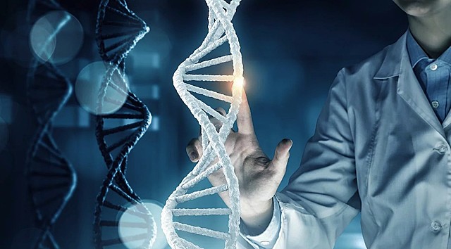 Secuencian el ADN Humano