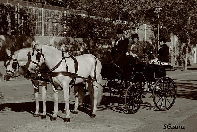 El carruaje