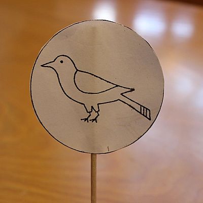 Timeline: La Historia del Cine.