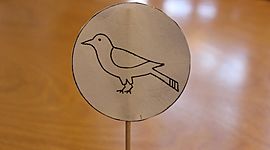 Timeline: La Historia del Cine.